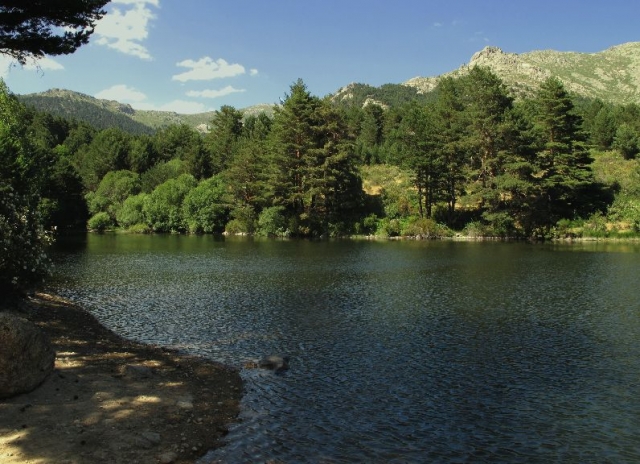 conoce navacerrada